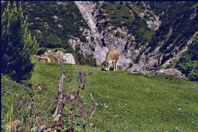 Wanderungen im Lechtal 2