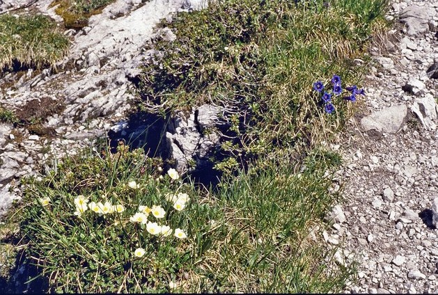 Wanderungen im Lechtal 4