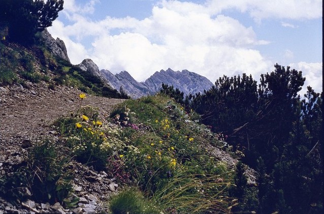 Wanderungen im Lechtal 5