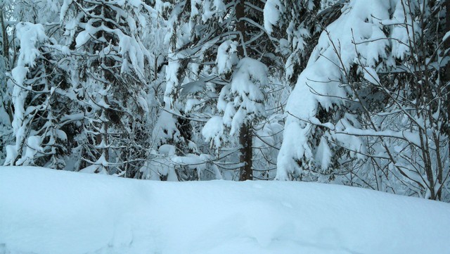 Der echte Winter 8