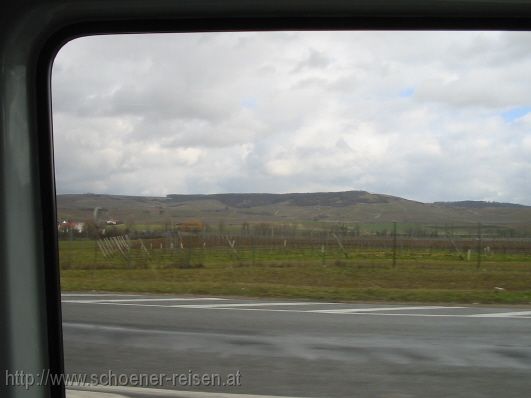 RHEIN-HESSEN > Weinbaugebiet