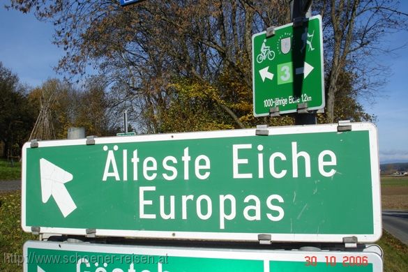 Bierbaum > älteste Eiche Europas