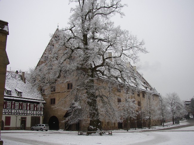 MAULBRONN > KLosterhof > Fruchtkasten