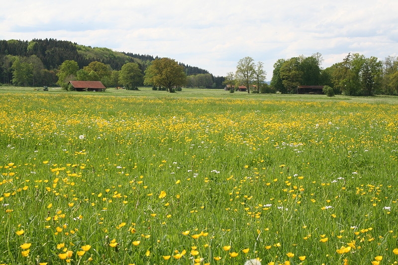 2  Maispaziergang 010