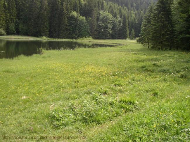 OBERAUDORF > Bichler See