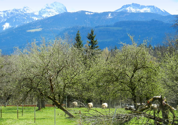 Bad Feilnbach- Dettendorf 6