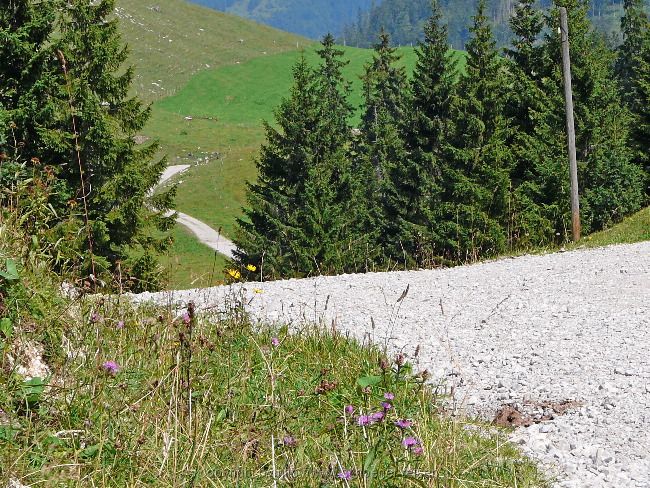 Kleine Radltour zum Bodenschneidhaus