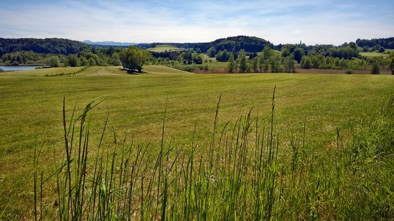 Streifzug Oberland