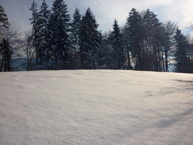 Rundgang um den Stimmersee bei Kufstein 3