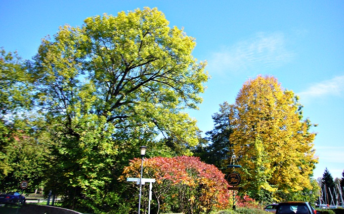 Herbstausflug im Voralpenland 3