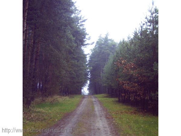 DÜBENER HEIDE, Kögelwanderweg