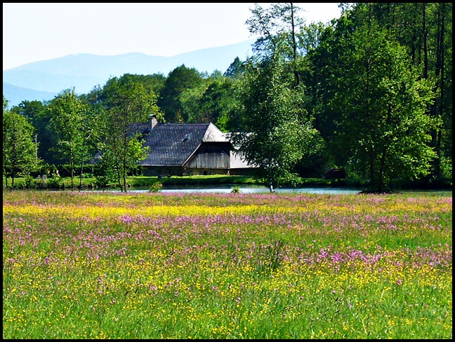 Tschechische Natur 5