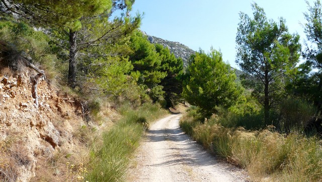 Herbst 2011, 9 Wanderung Kozjak 8