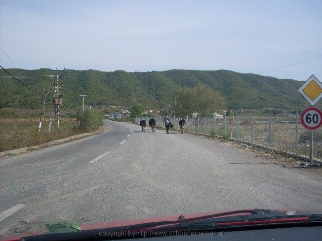 Richtung Shkodra