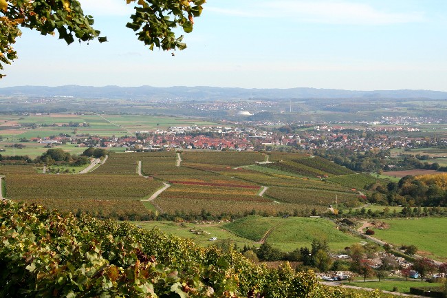 MICHAELSBERG >Panorama