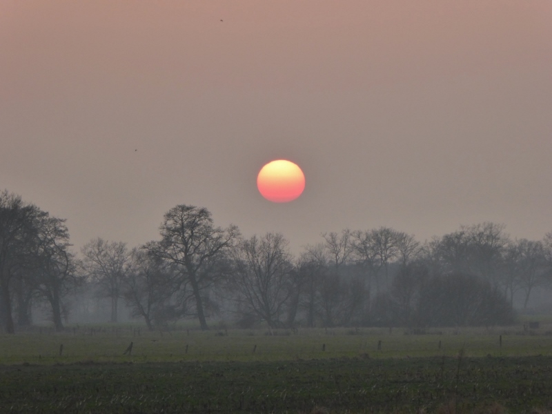 Wintersonne2