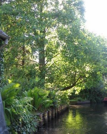 Spreewald-Bootfahrt