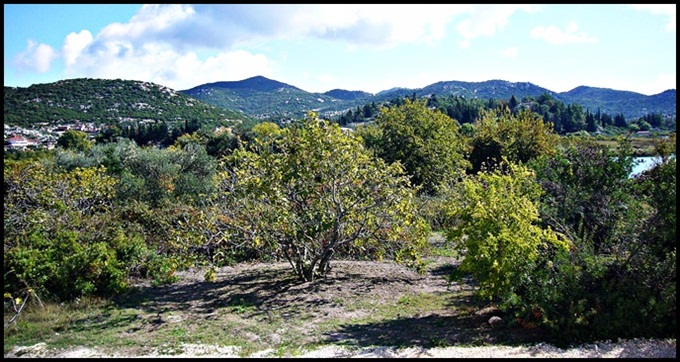 Bacinska Jezero 2