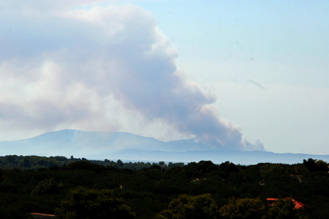 Vis Waldbrand