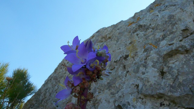 Herbst 2011, 13,Kozjak, Sv. Ivan 2