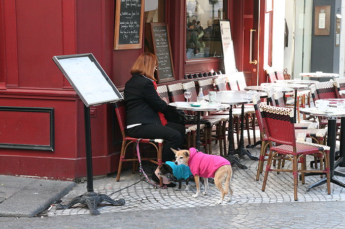 Quartier Les Halles 4