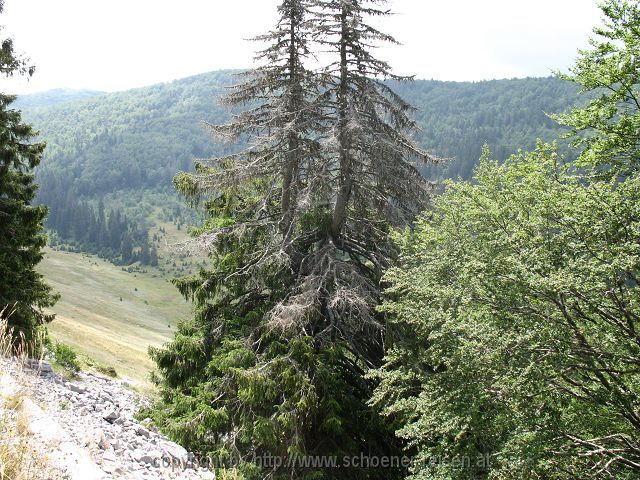 KARLOBAG > Nationalpark Velebit > Safari 2