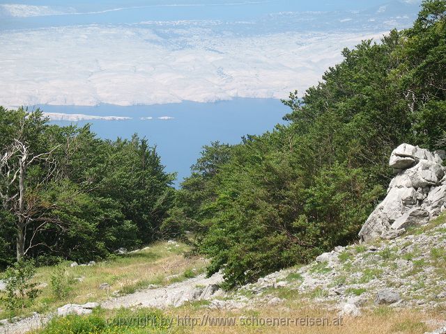 KARLOBAG > Nationalpark Velebit > Safari 7