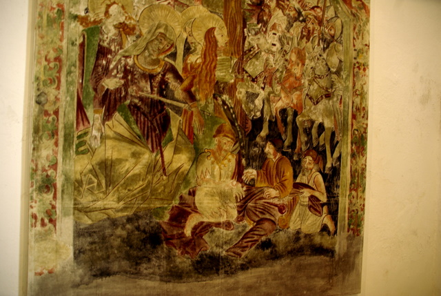 Istrien Brijuni Inseln 8