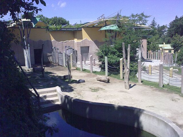 ZOO 2