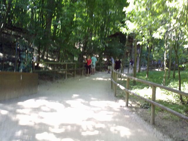 ZOO