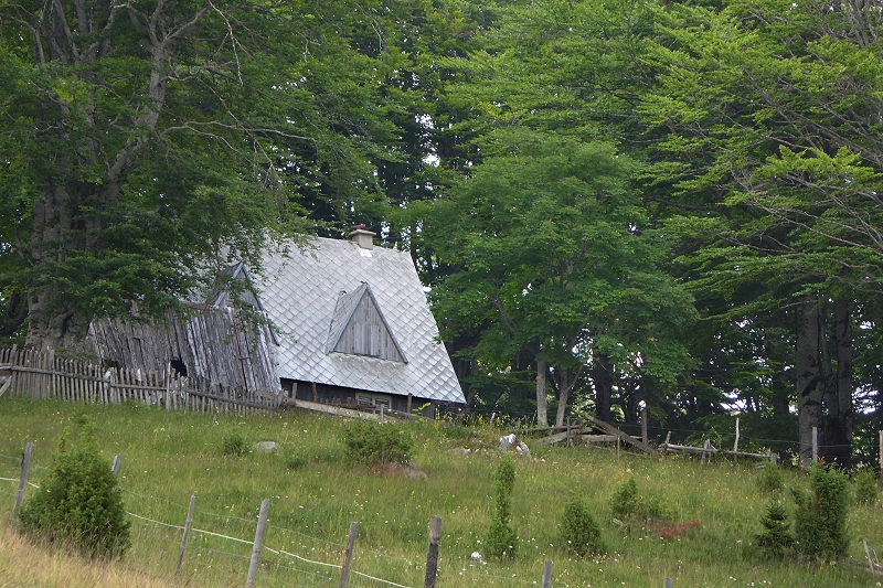 03 Zabljak Spaziergang Ivan Do 011 11 800