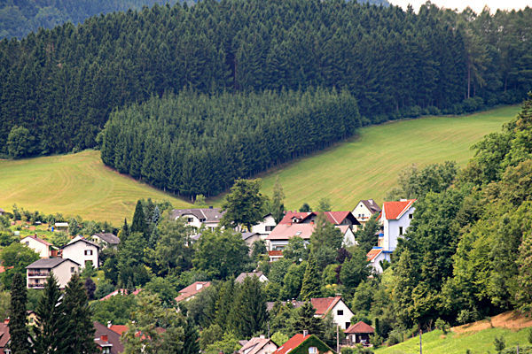 Blick zum Herzerlwald