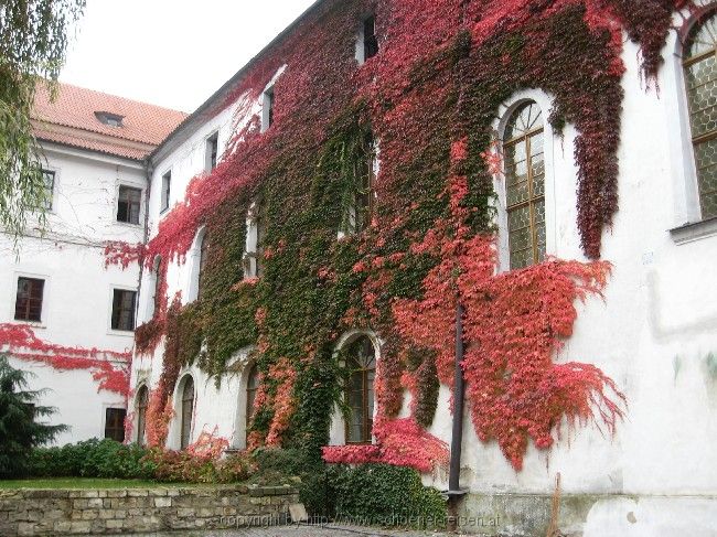 Kloster Strahov 5