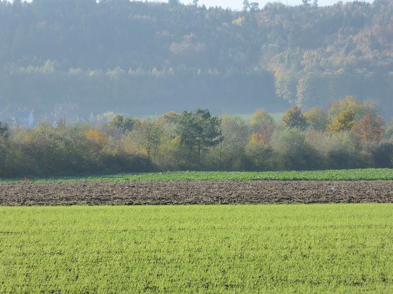 eine Tour im Herbst