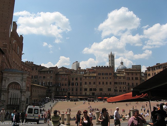 SIENA > Il Campo