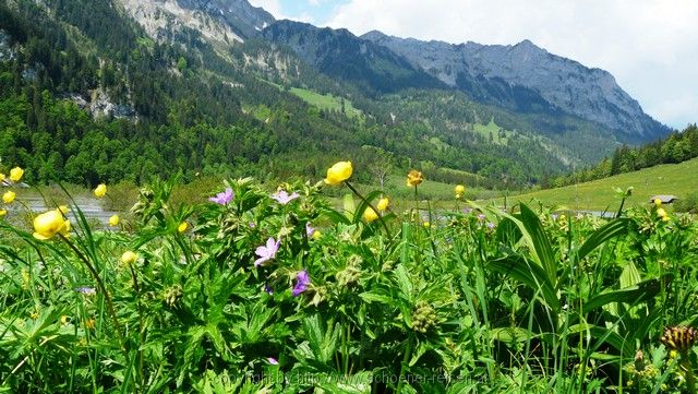 SCHWEIZ>Berner Oberland-bei Thun