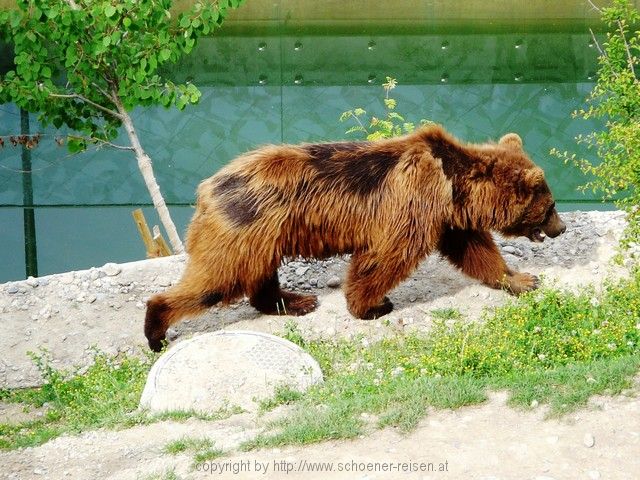 SCHWEIZ>Berner Oberland-bei Thun