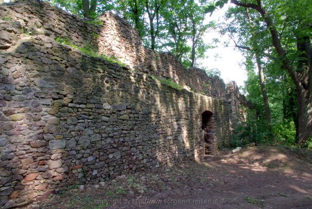 DONAUSTAUF > Burgruine Donaustauf