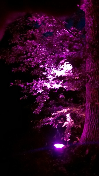 Nacht der Biodiversität, Tierpark Hellabrunn