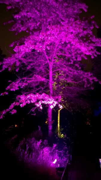 Nacht der Biodiversität, Tierpark Hellabrunn