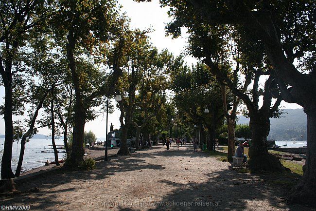 ISOLA SUPERIORE DEI PESCATORI > Allee im Lago Maggiore