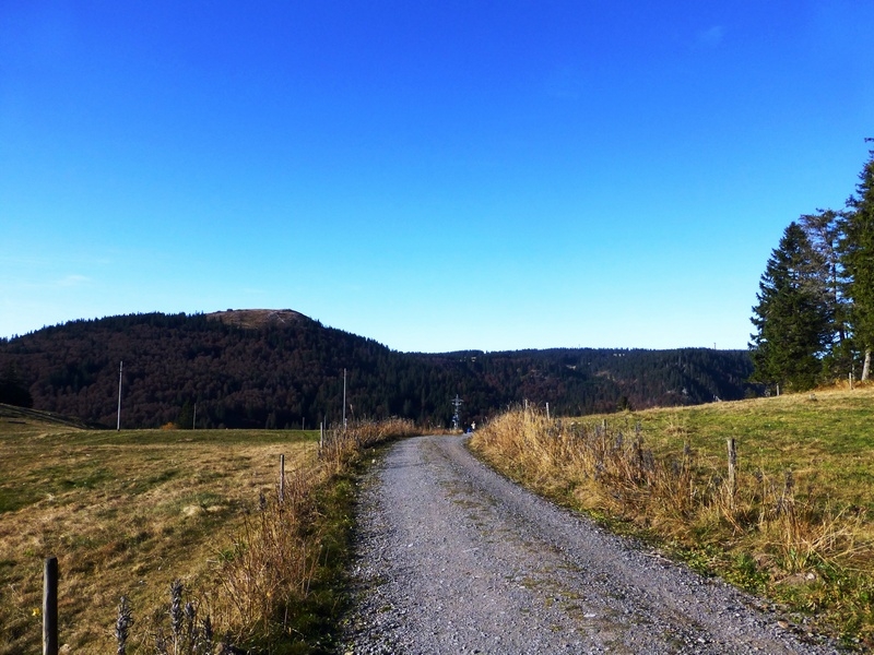 Im Südschwarzwald bei Bernau