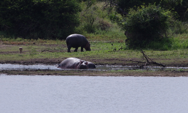 5 Dieters Afrikatour Krüger Nationalpark 3