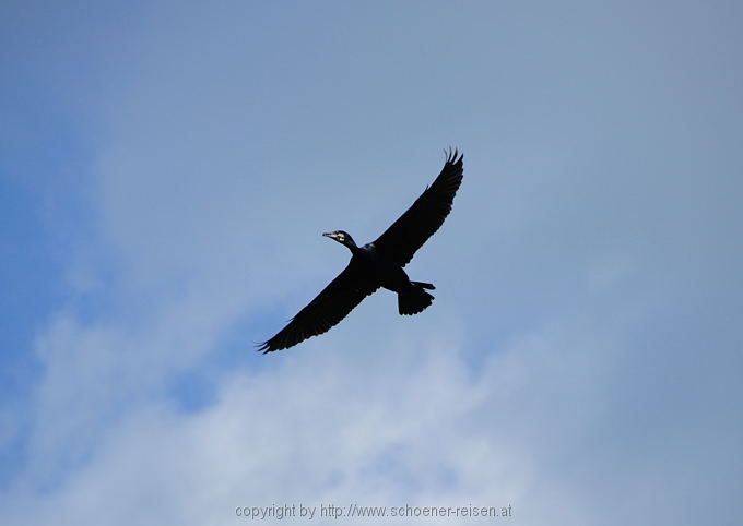 Slawonientour 2010 242
