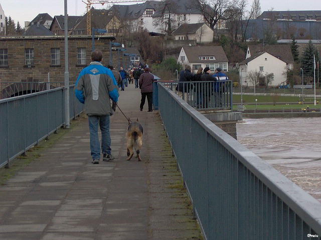 Herr und Hund auf dem Wehrsteg