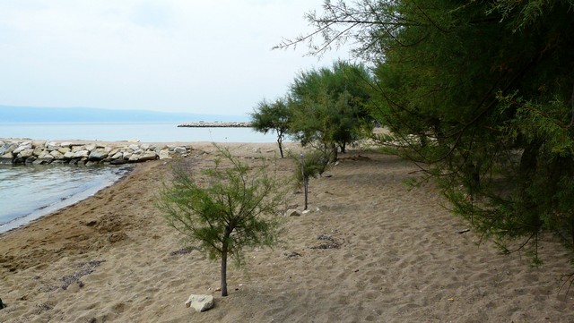 Herbst 2011,7 Omis 2