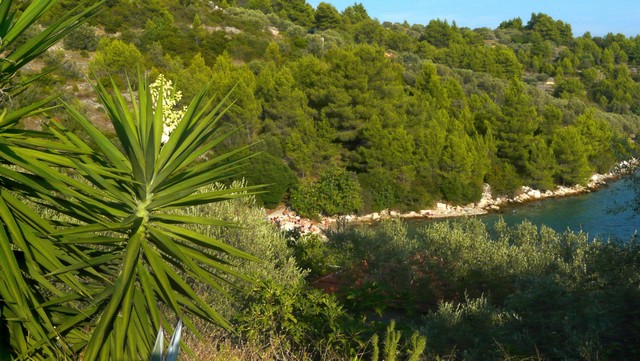 Herbst 2011/5: Peljesac  u.Korcula 8