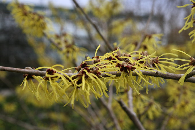 München > Botanischer Garten 8