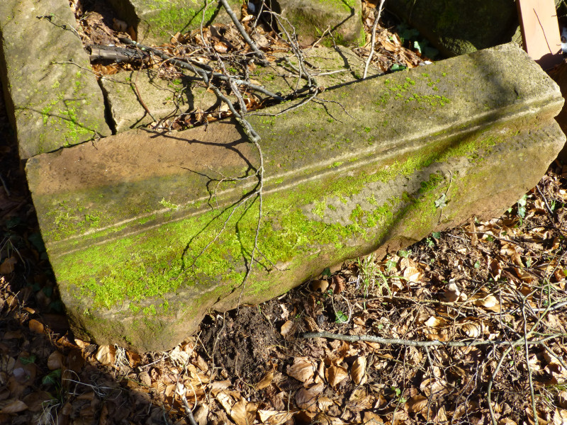 D:Bayern>Burgruine Wildenstein>Steine2