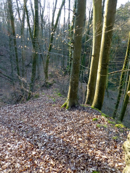 D:Bayern>Klingenberg>Seltenbachschlucht28